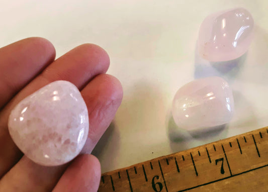 Tumblestones - Rose Quartz