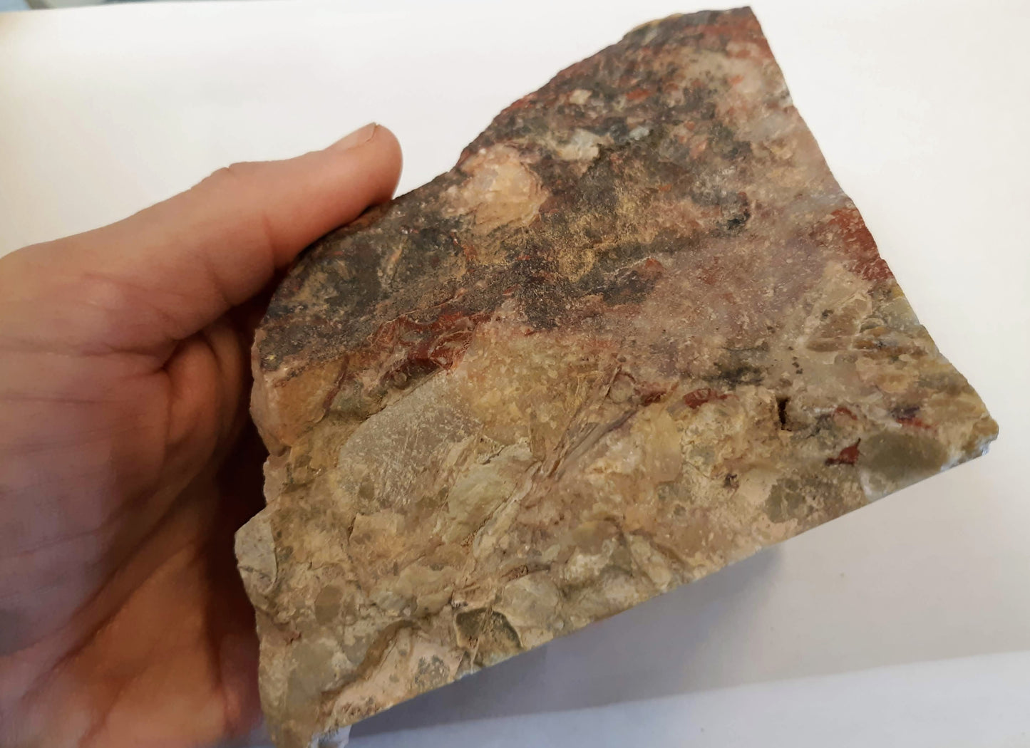 Mexican Lace Agate Rough specimen2