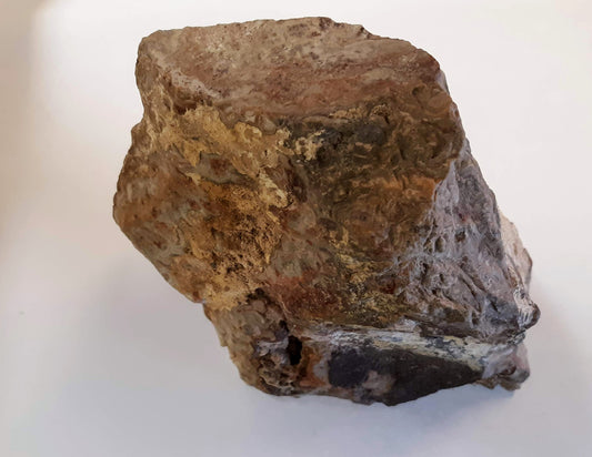 Mexican Lace Agate Rough specimen4