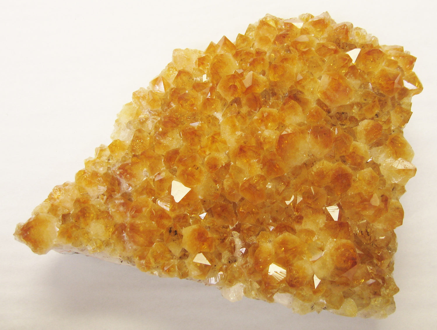 Stones and Specimens