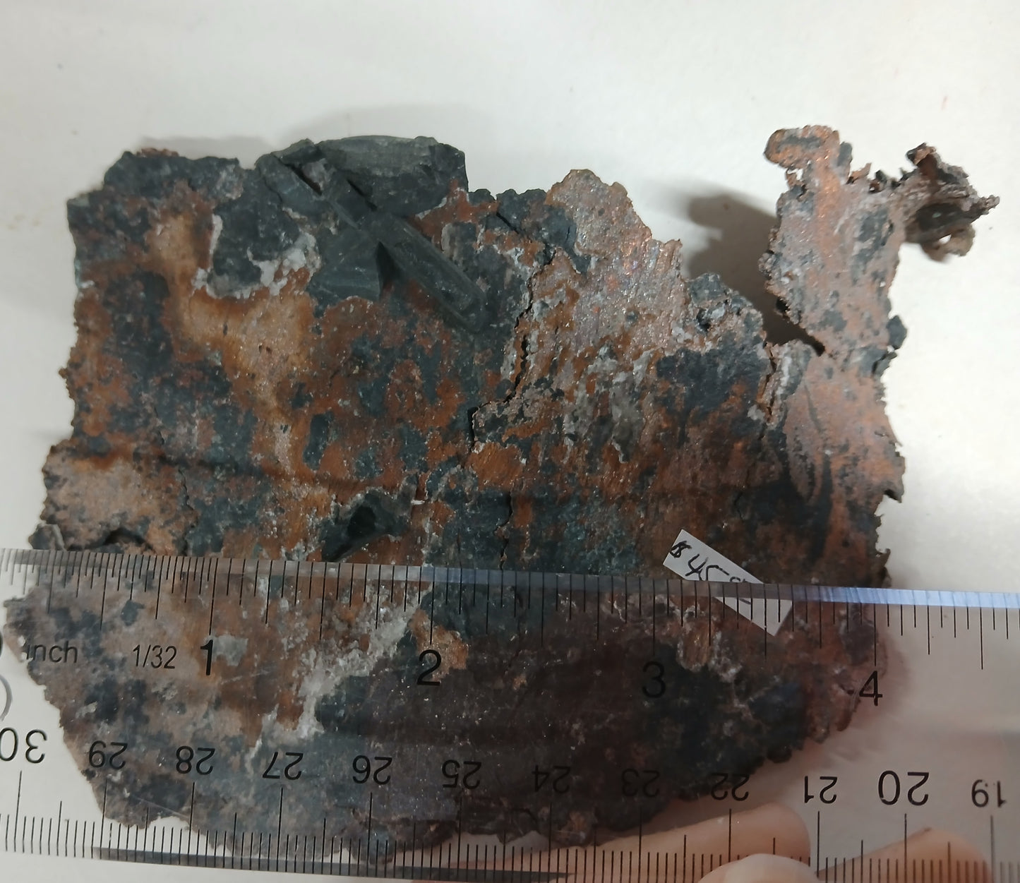 native copper sheet with ruler measurement.