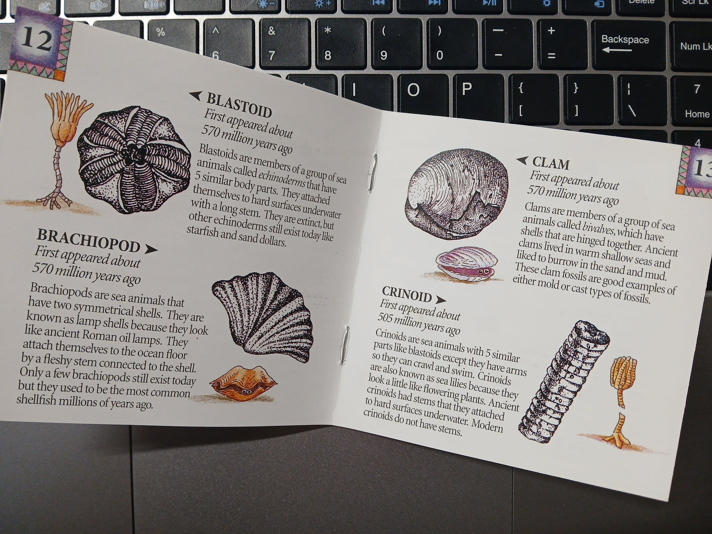 Book "Dig Into" Rock, Fossil, Geodes Books