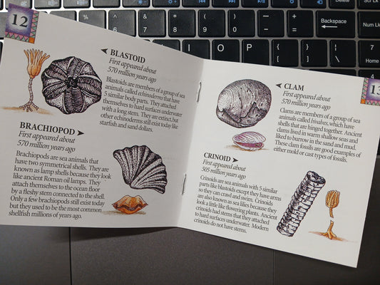 Book "Dig Into" Rock, Fossil, Geodes Books