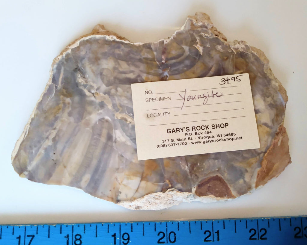 Rough Rock, Slab youngite – Gary's Rock Shop