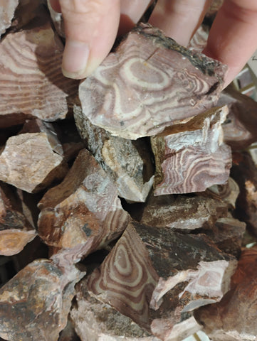 Rough Rock, Rhyolite Liesegang Rangs