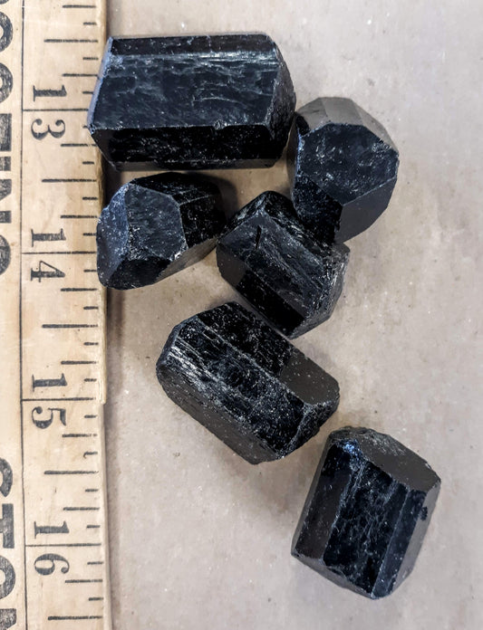 Black Tourmaline (Terminated Crystals)