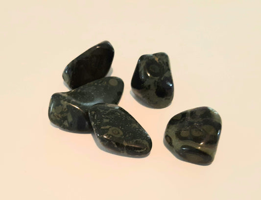 Tumblestones - Kambaba Jasper
