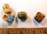 Tumblestones - Mexican Crazy Lace agate