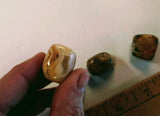 Tumblestones - Mexican Crazy Lace agate