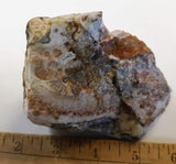 Mexican Lace Agate Rough specimen