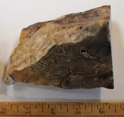 Mexican Lace Agate Rough specimen2