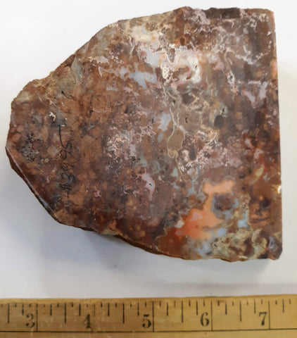 Mexican Lace Agate Rough specimen3