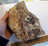 Mexican Lace Agate Rough specimen4