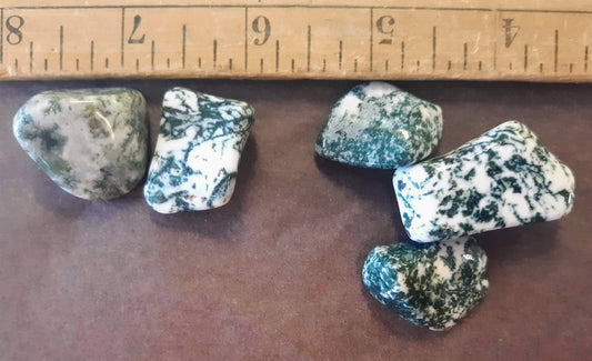 Tumblestones - Agate, Green Tree