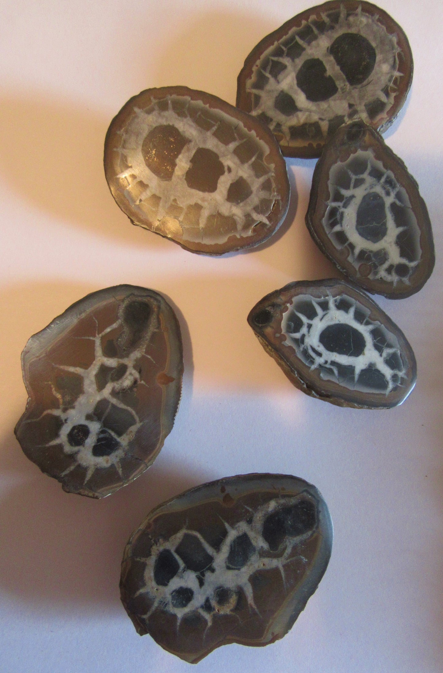 Geode - Septarian Nodule