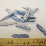 Kyanite Blades, blue,  extra small